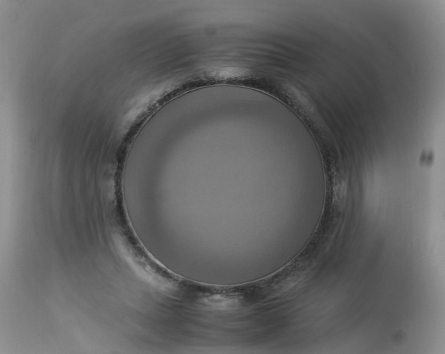 X0000113110447200909111119