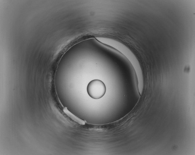 X0000113110448200909111119