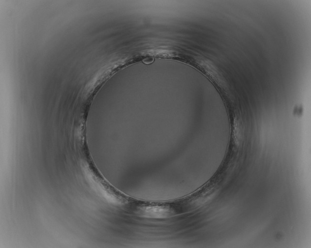 X0000113110449200909111119