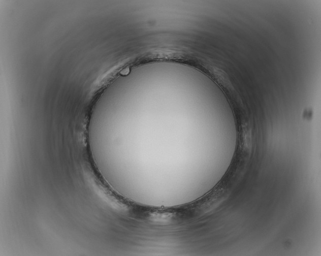 X0000113110450200909111119