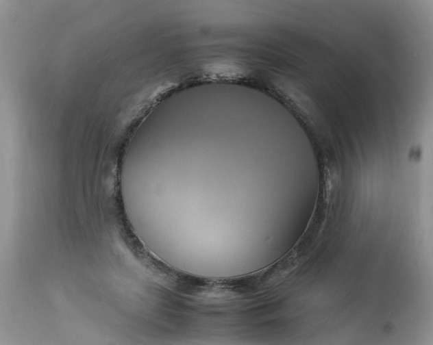 X0000113110451200909111119