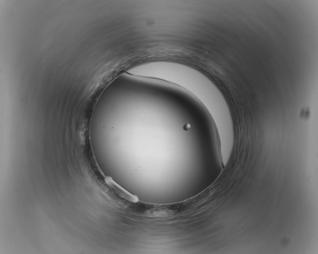 X0000113110452200909111119