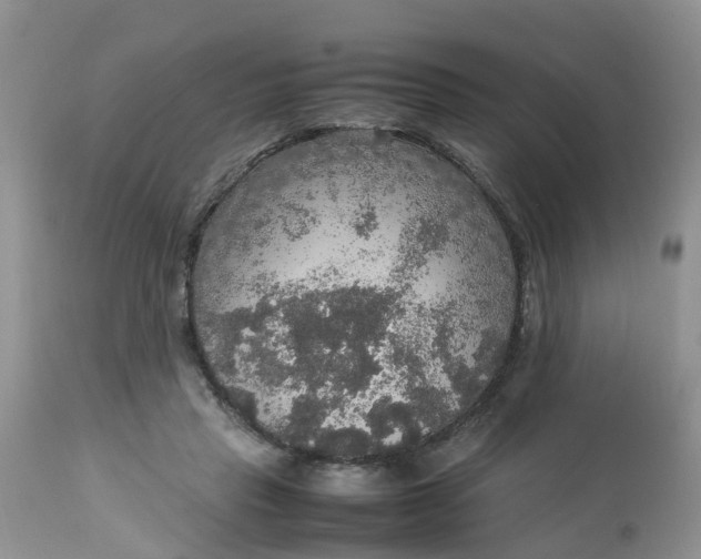 X0000113110453200909111119