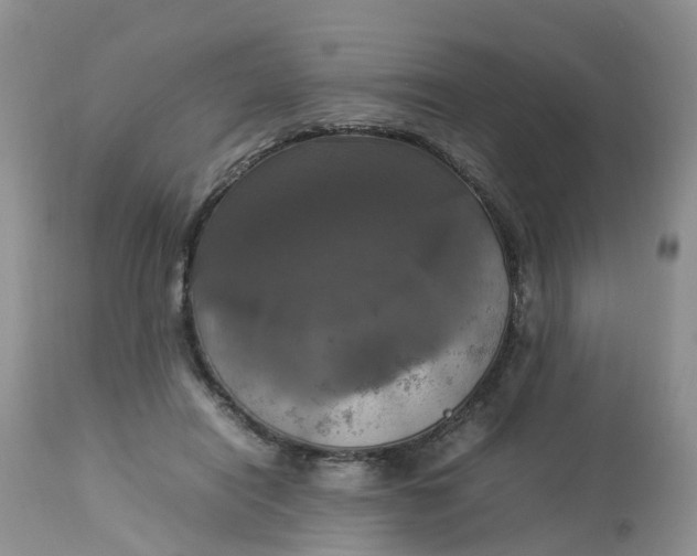 X0000113110454200909111119