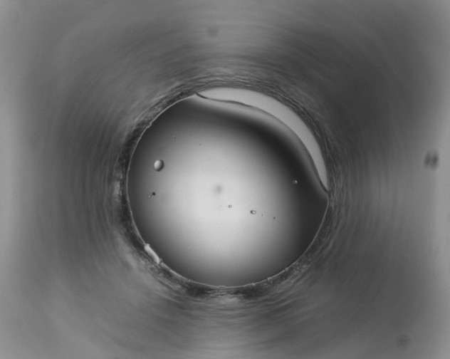 X0000113110456200909111119