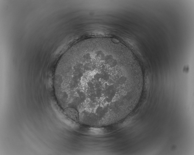 X0000113110457200909111119