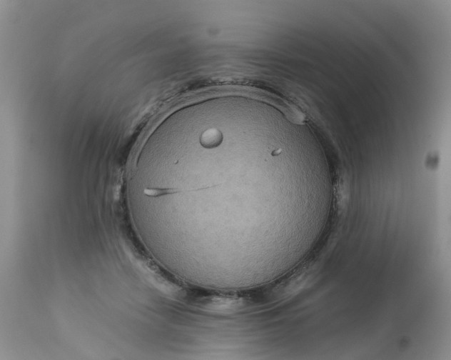 X0000113110458200909111119