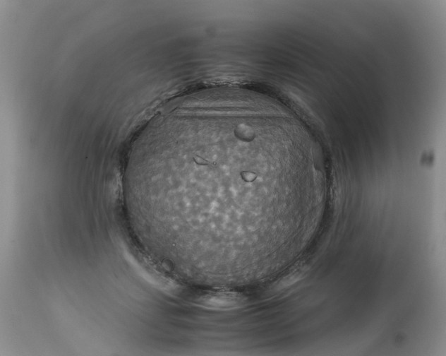 X0000113110459200909111119