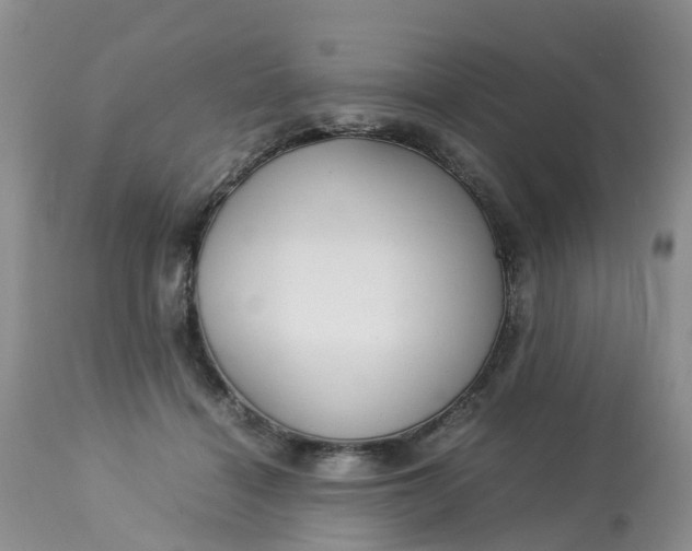 X0000113110460200909111119