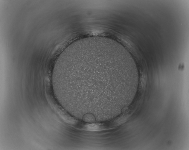 X0000113110461200909111119