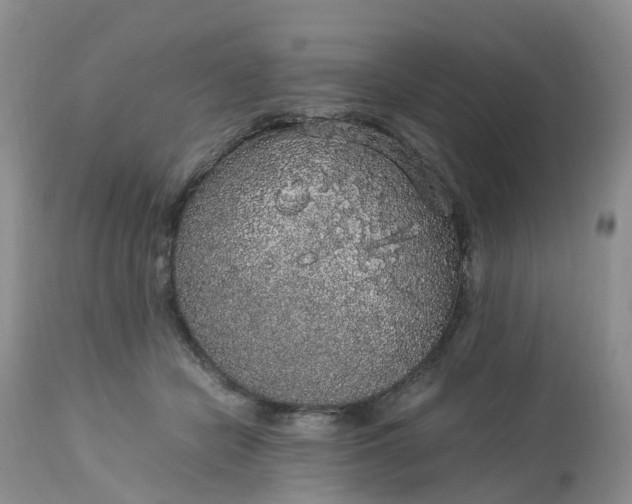 X0000113110462200909111119