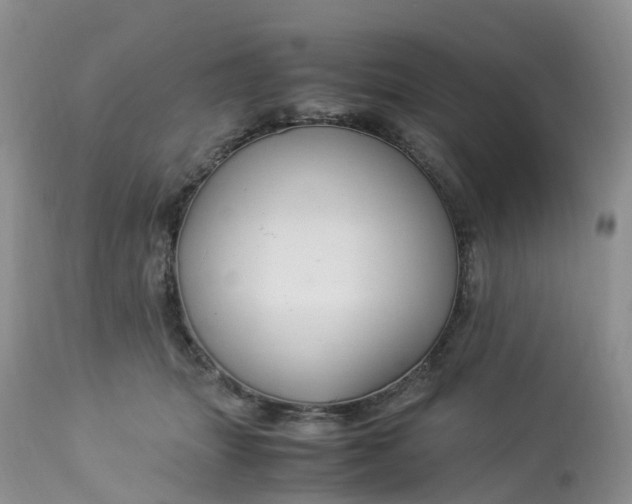 X0000113110463200909111119