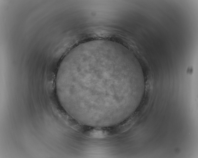 X0000113110464200909111119