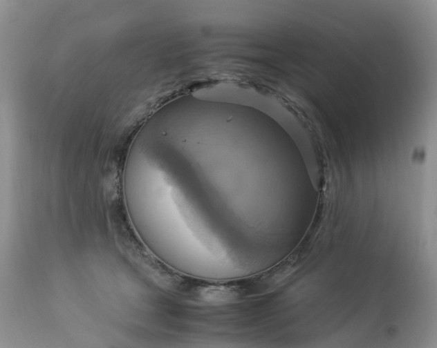 X0000113110465200909111119