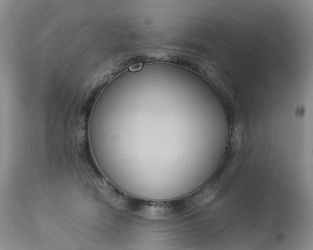 X0000113110466200909111119