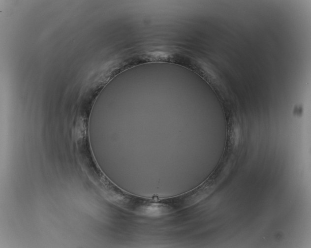 X0000113110467200909111119