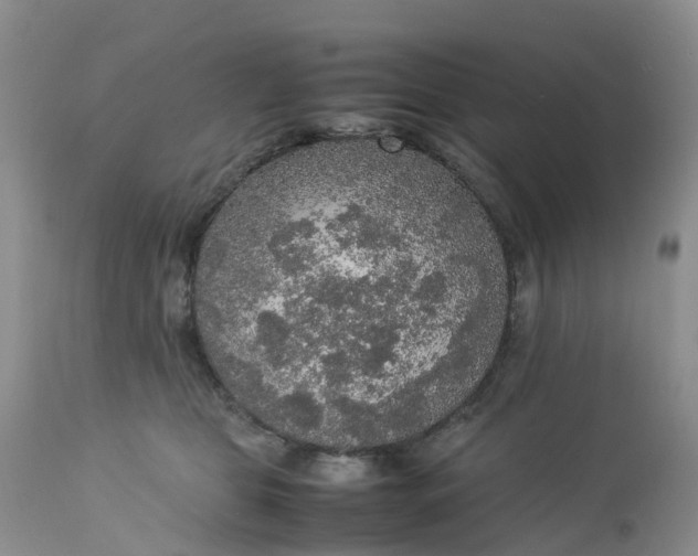 X0000113110469200909111119