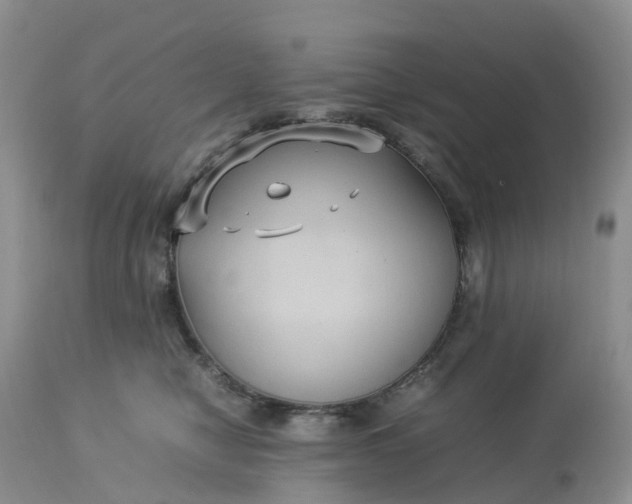 X0000113110470200909111119