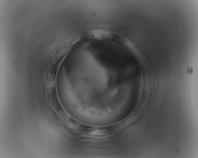 X0000113110471200909111119