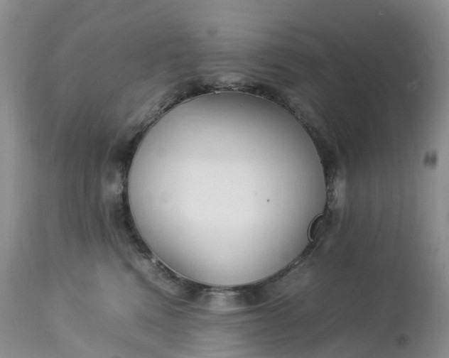 X0000113110472200909111119