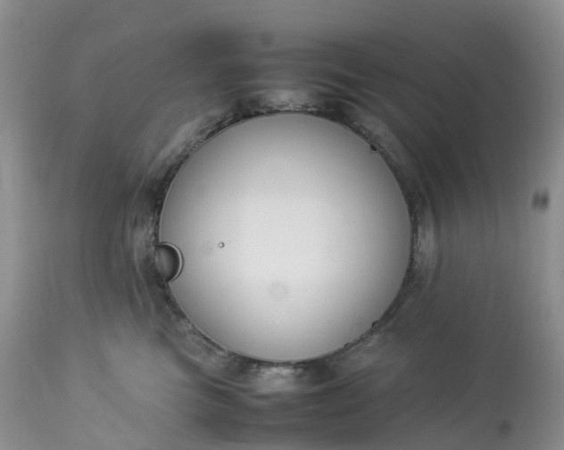 X0000113110473200909111119