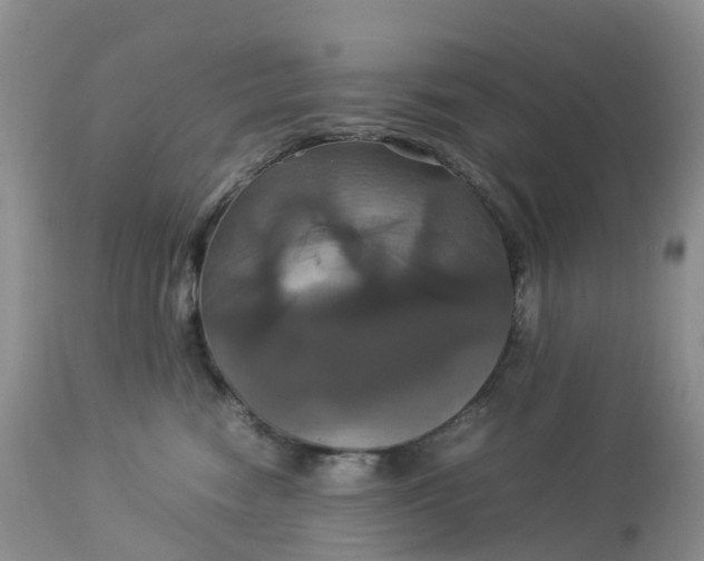 X0000113110474200909111119