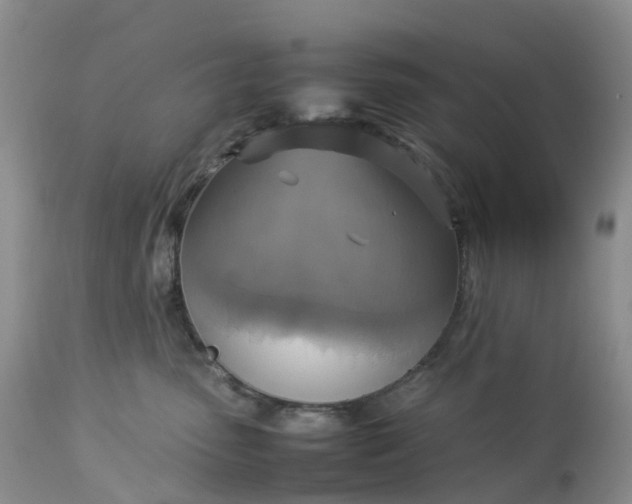 X0000113110475200909111119