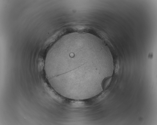 X0000113110476200909111119