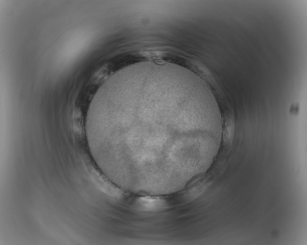 X0000113110477200909111119