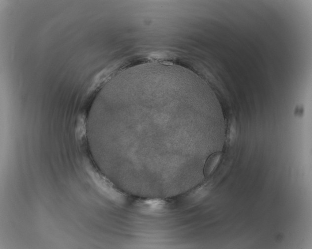 X0000113110478200909111119