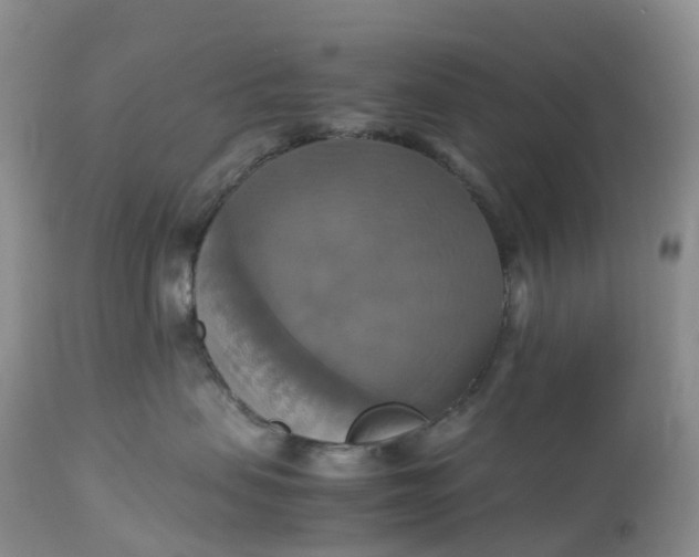 X0000113110479200909111119