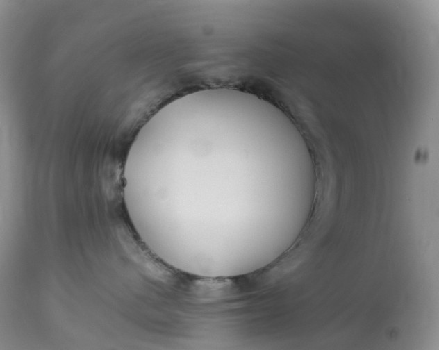 X0000113110480200909111119