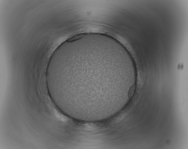 X0000113110481200909111118