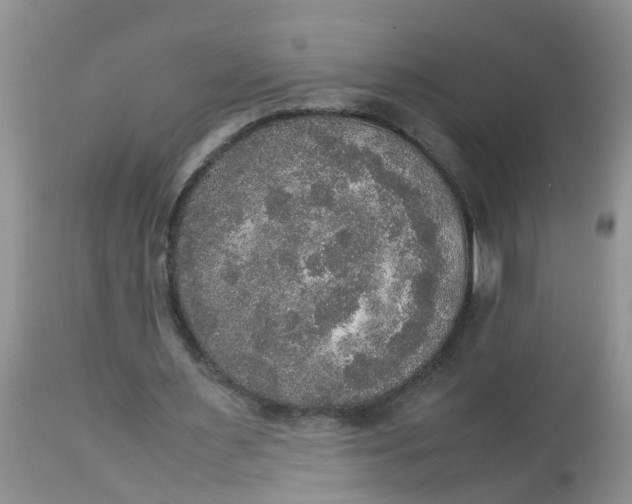 X0000113110483200909111118