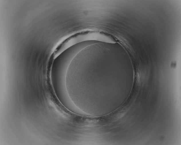 X0000113110484200909111118