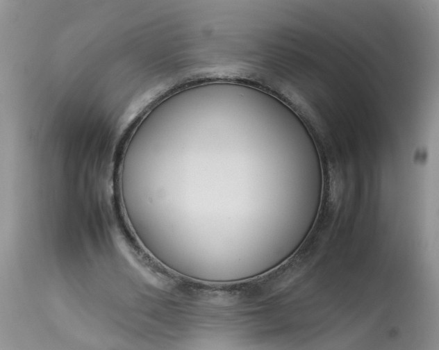 X0000113110486200909111118