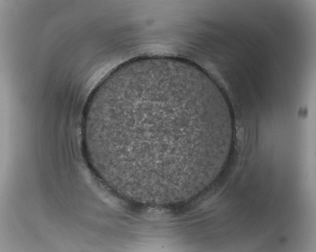 X0000113110487200909111118