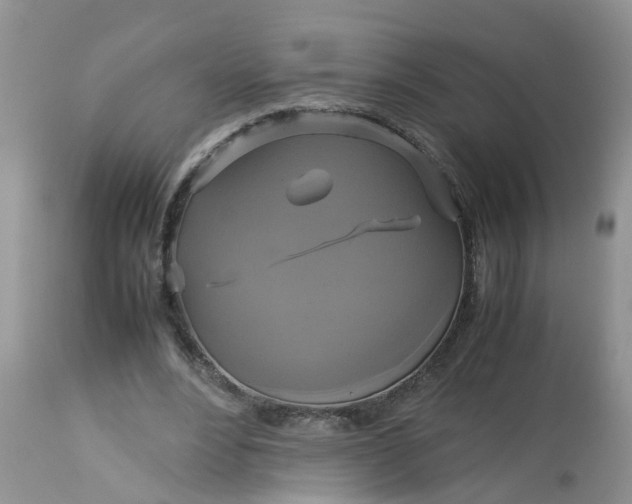 X0000113110488200909111118