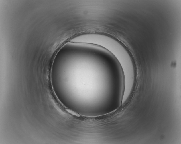 X0000113110489200909111118