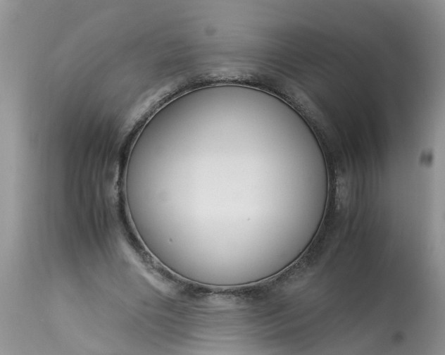 X0000113110490200909111118