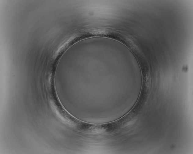 X0000113110491200909111118