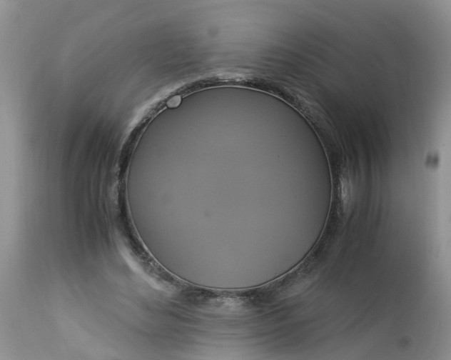 X0000113110492200909111118