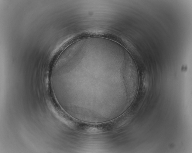 X0000113110494200909111118