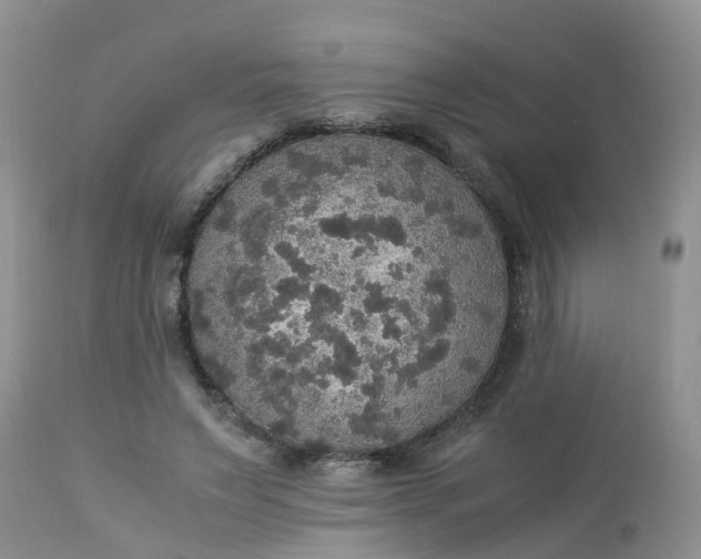 X0000113110495200909111118