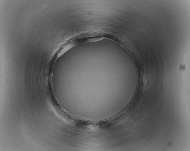 X0000113110496200909111118