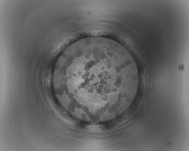 X0000113110499200909111118