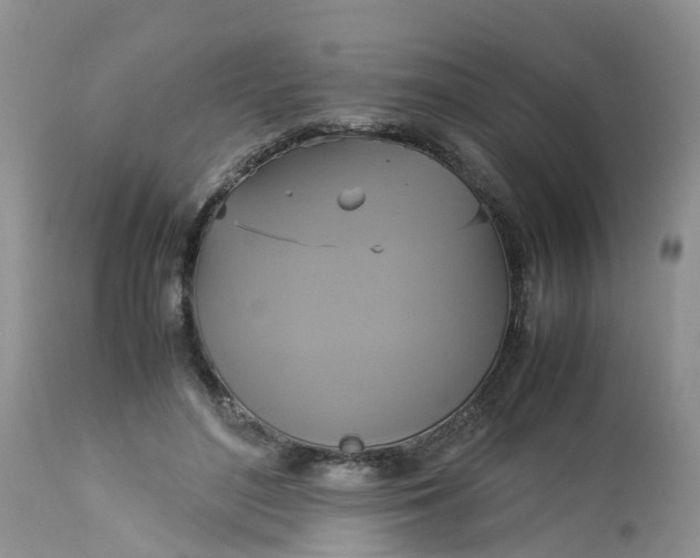 X0000113110500200909111118