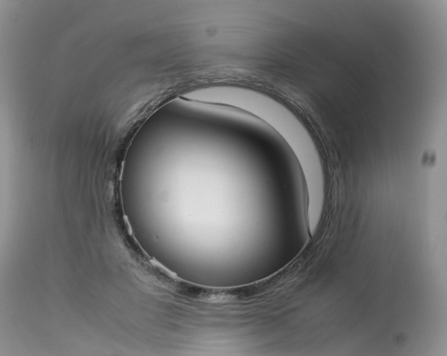 X0000113110501200909111118