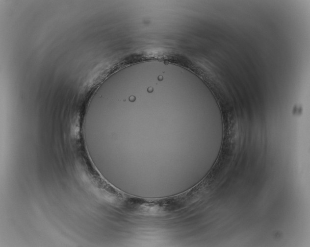 X0000113110502200909111118