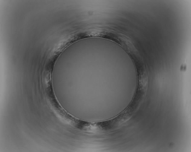 X0000113110503200909111118